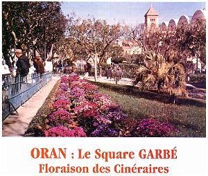 CA f- 018- Square Garbe